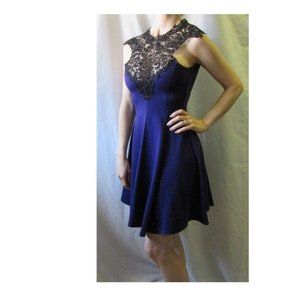 Vintage Sexy Purple Dress See-Thru Black Lace Top
